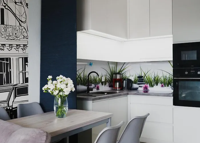 Totu Jaglana Old Town 公寓